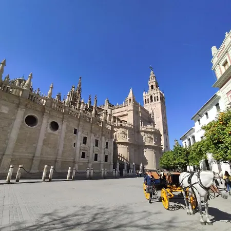 Apartment Cathedral Seville