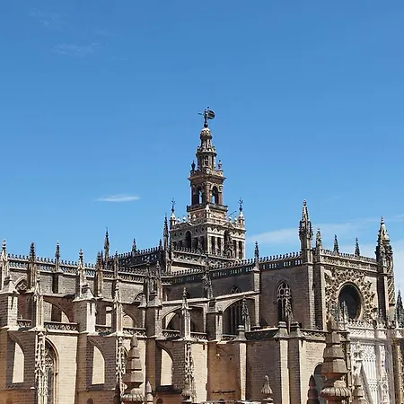 Apartment Cathedral *